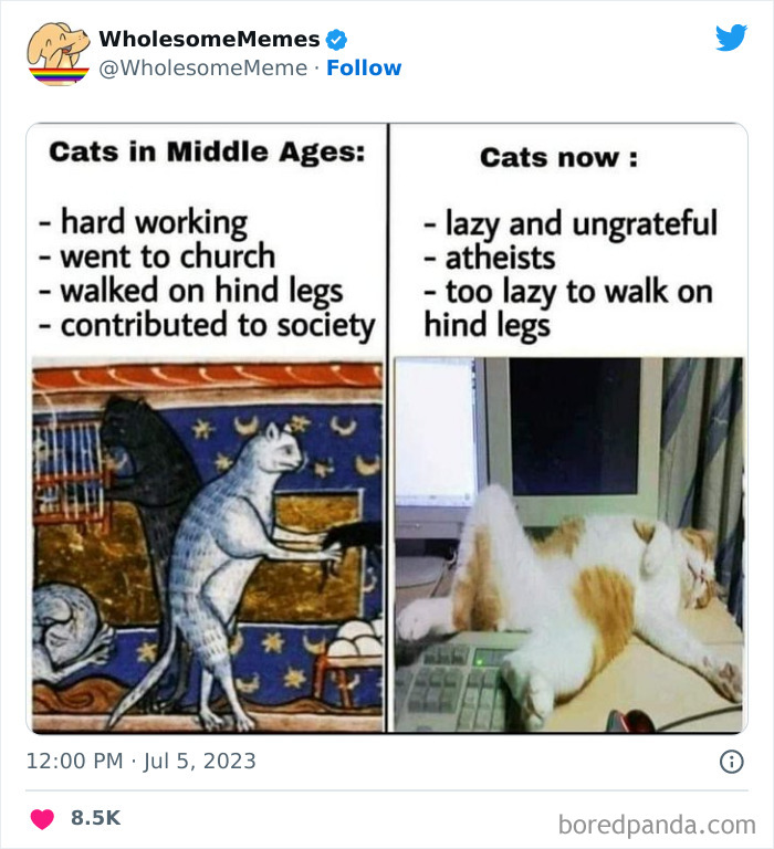 Adorable-Wholesome-Memes-Pics