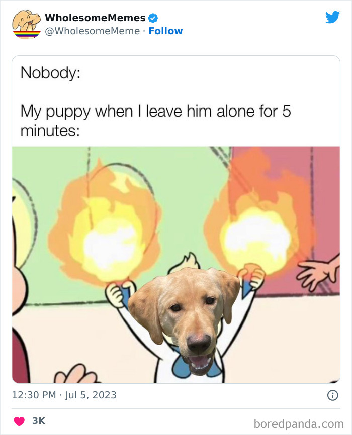 Adorable-Wholesome-Memes-Pics