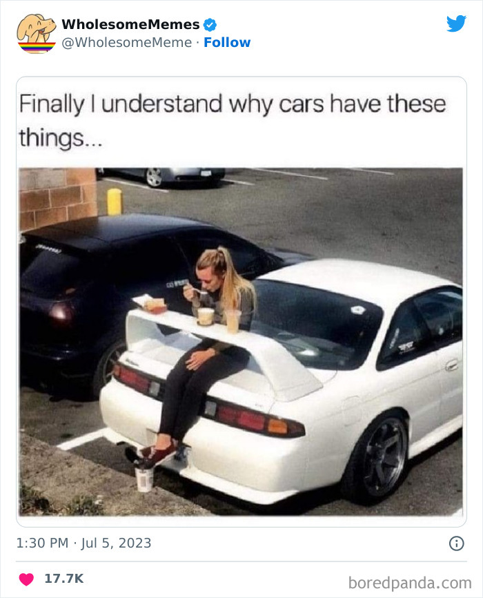 Adorable-Wholesome-Memes-Pics