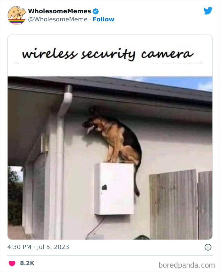 Adorable-Wholesome-Memes-Pics