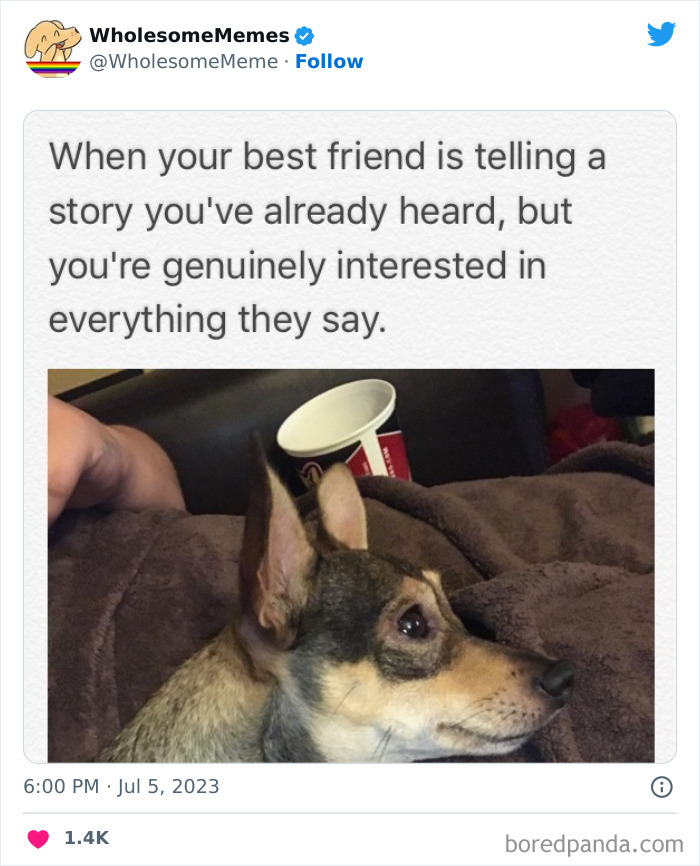 Adorable-Wholesome-Memes-Pics