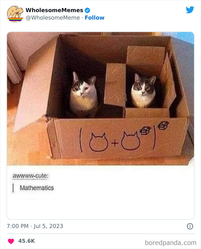 Adorable-Wholesome-Memes-Pics