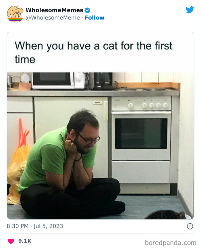 Adorable-Wholesome-Memes-Pics