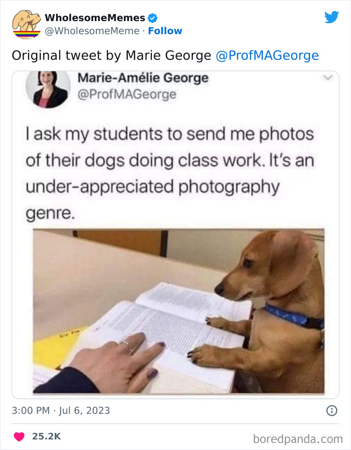 Adorable-Wholesome-Memes-Pics