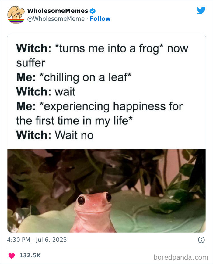 Adorable-Wholesome-Memes-Pics