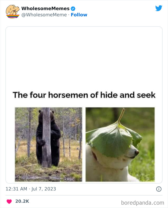 Adorable-Wholesome-Memes-Pics