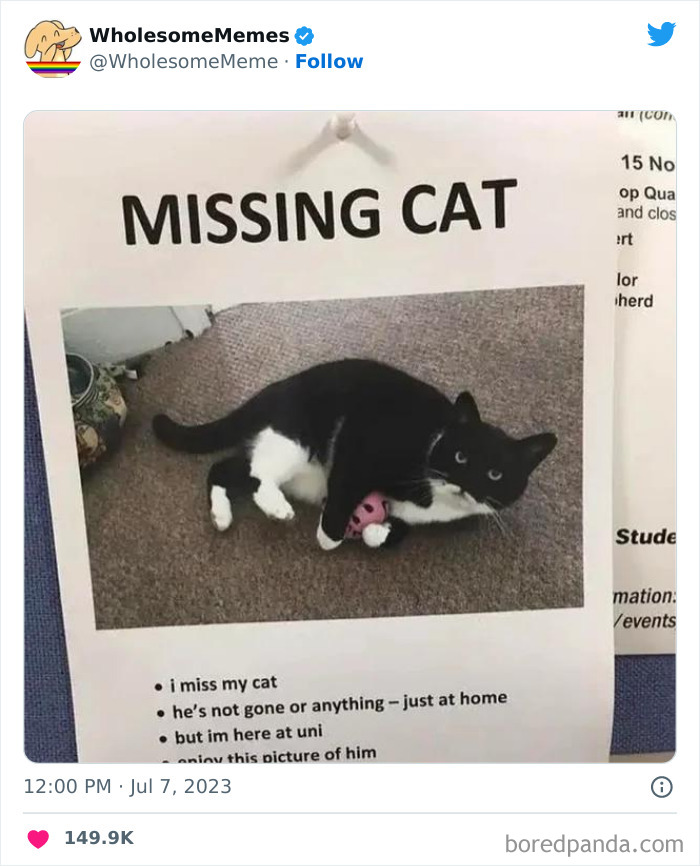 Adorable-Wholesome-Memes-Pics