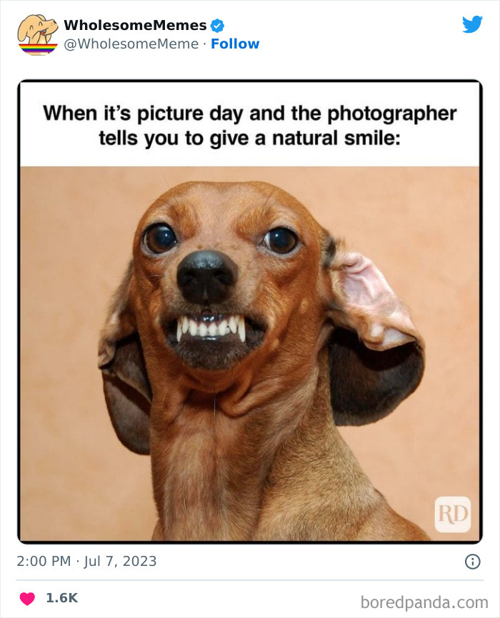 Adorable-Wholesome-Memes-Pics