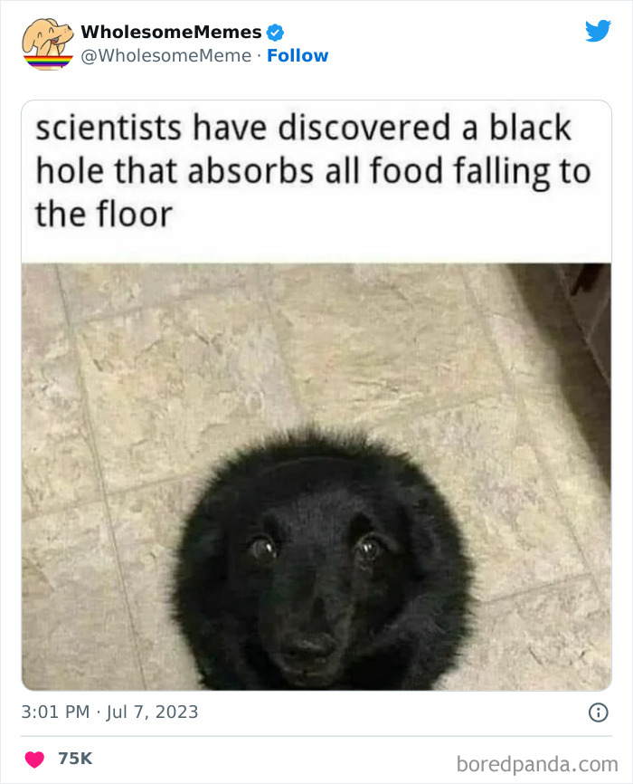 Adorable-Wholesome-Memes-Pics