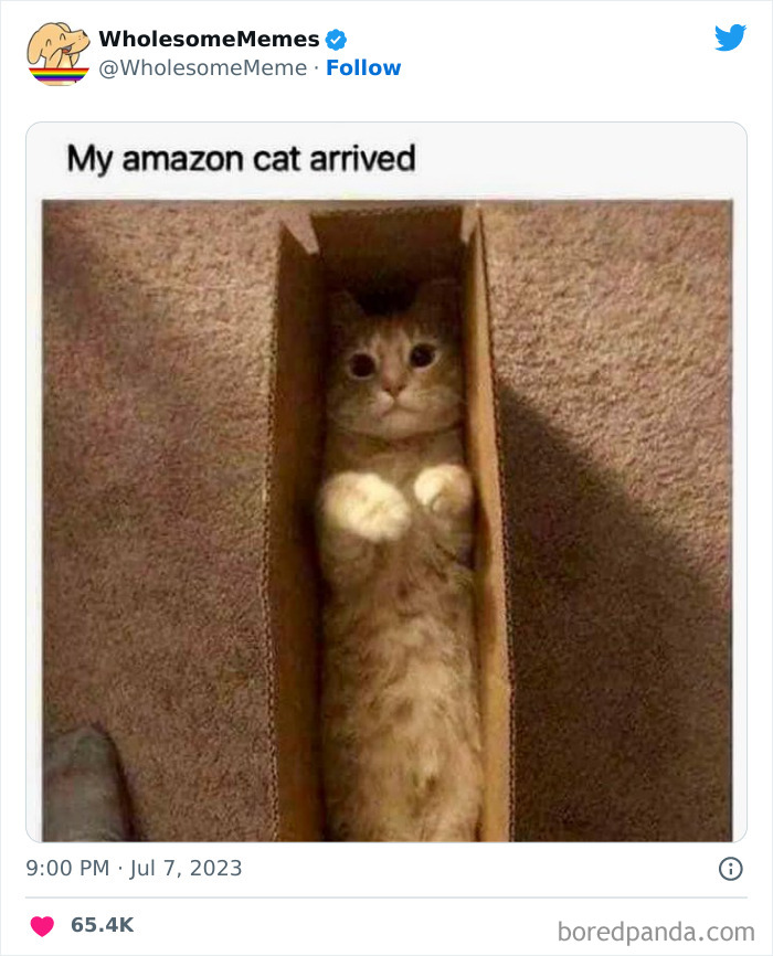 Adorable-Wholesome-Memes-Pics