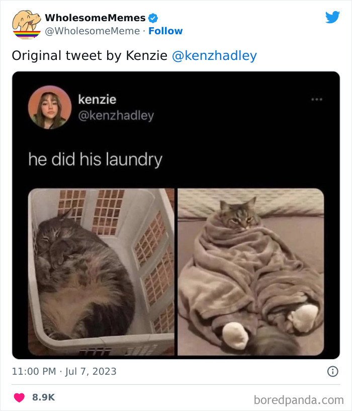 Adorable-Wholesome-Memes-Pics