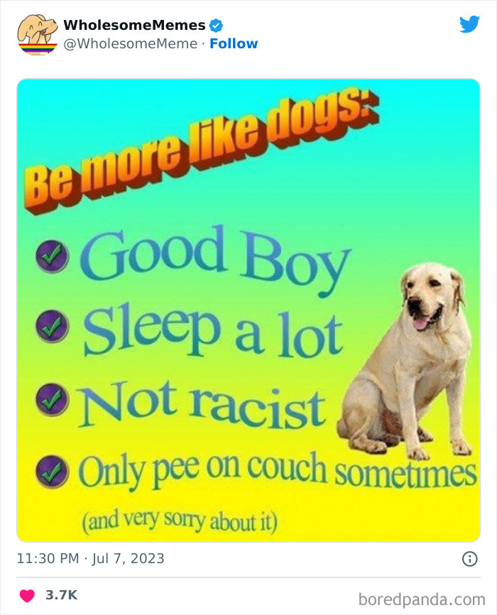 Adorable-Wholesome-Memes-Pics