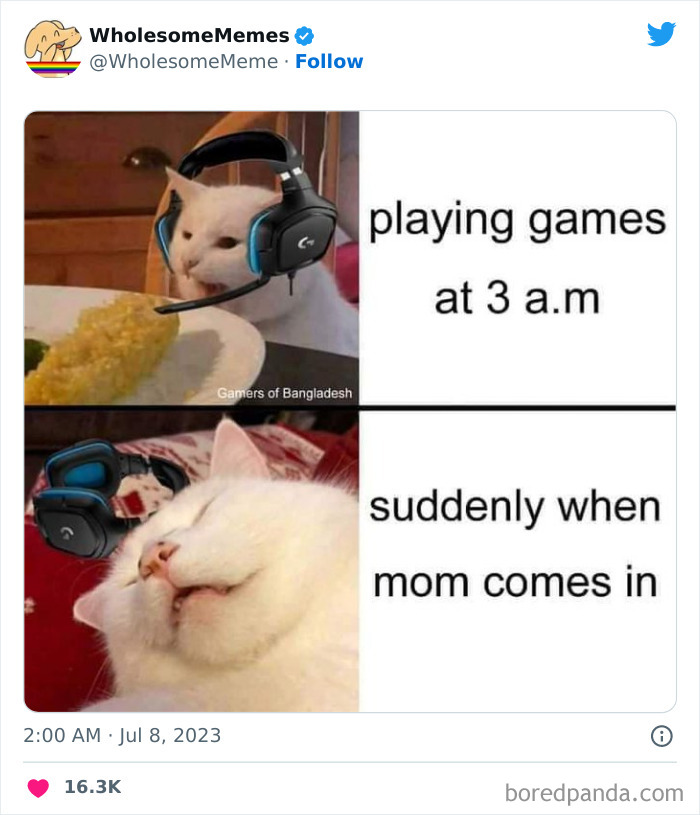 Adorable-Wholesome-Memes-Pics