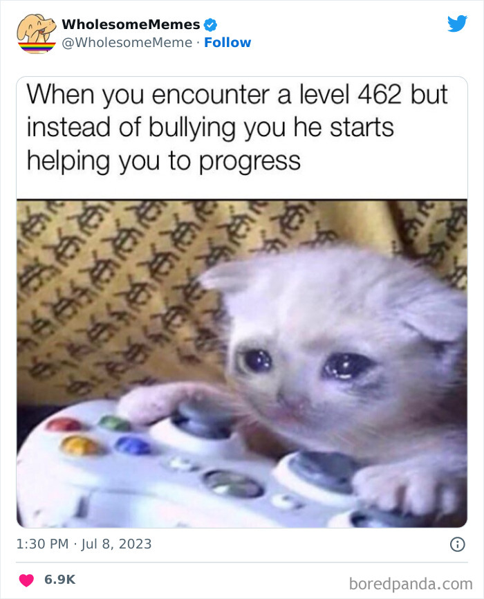 Adorable-Wholesome-Memes-Pics