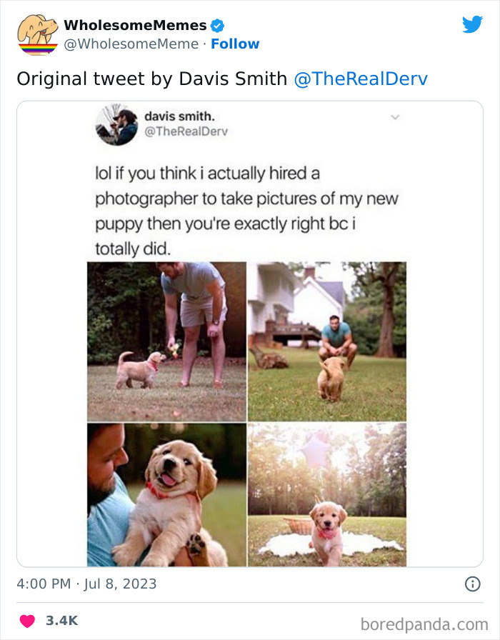 Adorable-Wholesome-Memes-Pics