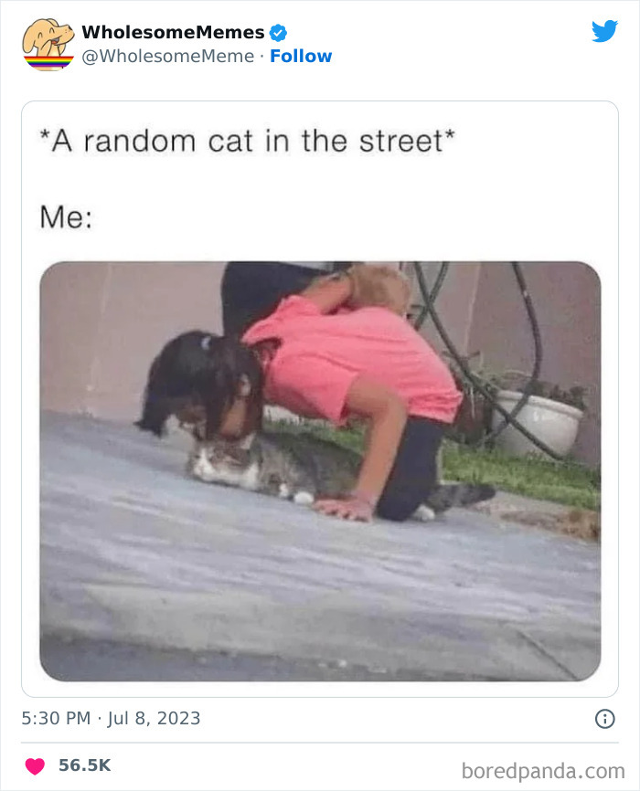 Adorable-Wholesome-Memes-Pics