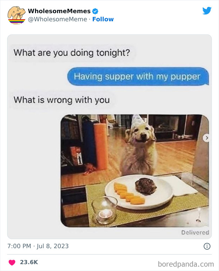 Adorable-Wholesome-Memes-Pics