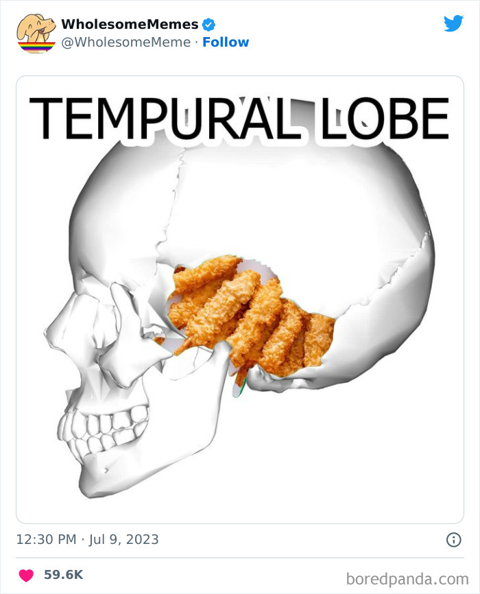 Adorable-Wholesome-Memes-Pics