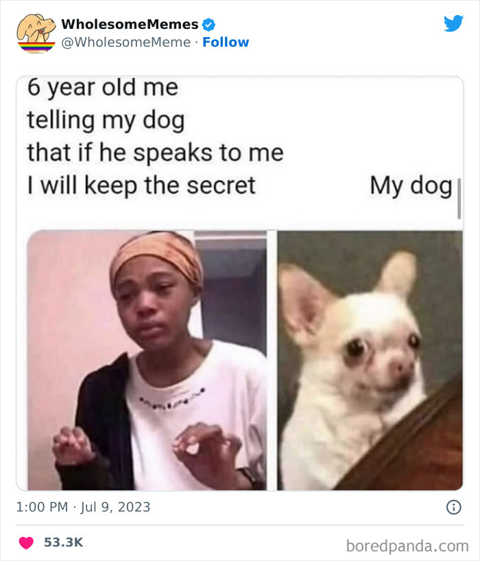 Adorable-Wholesome-Memes-Pics