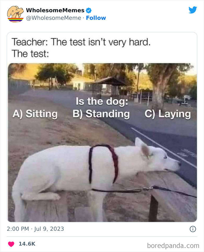 Adorable-Wholesome-Memes-Pics