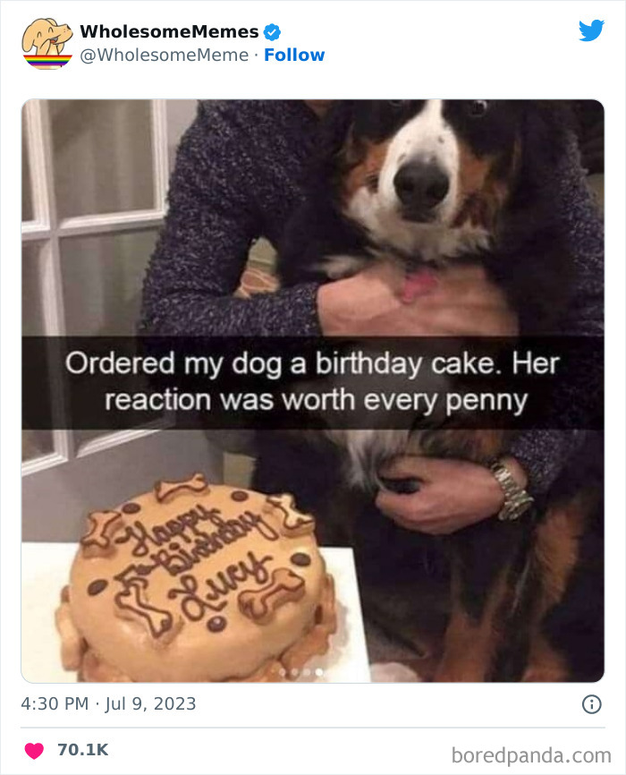 Adorable-Wholesome-Memes-Pics