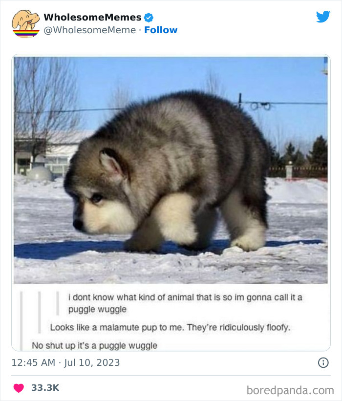 Adorable-Wholesome-Memes-Pics