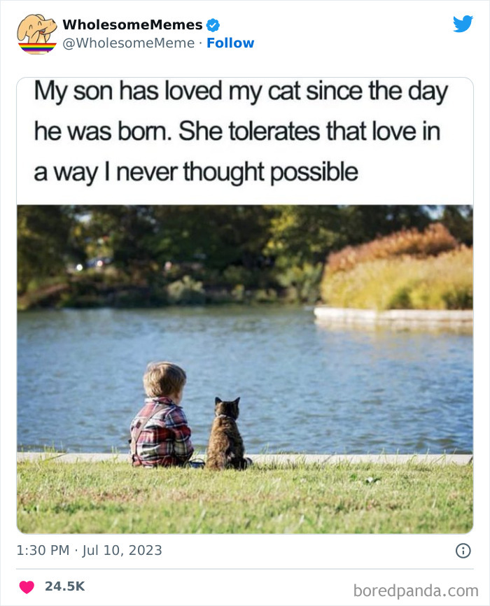 Adorable-Wholesome-Memes-Pics