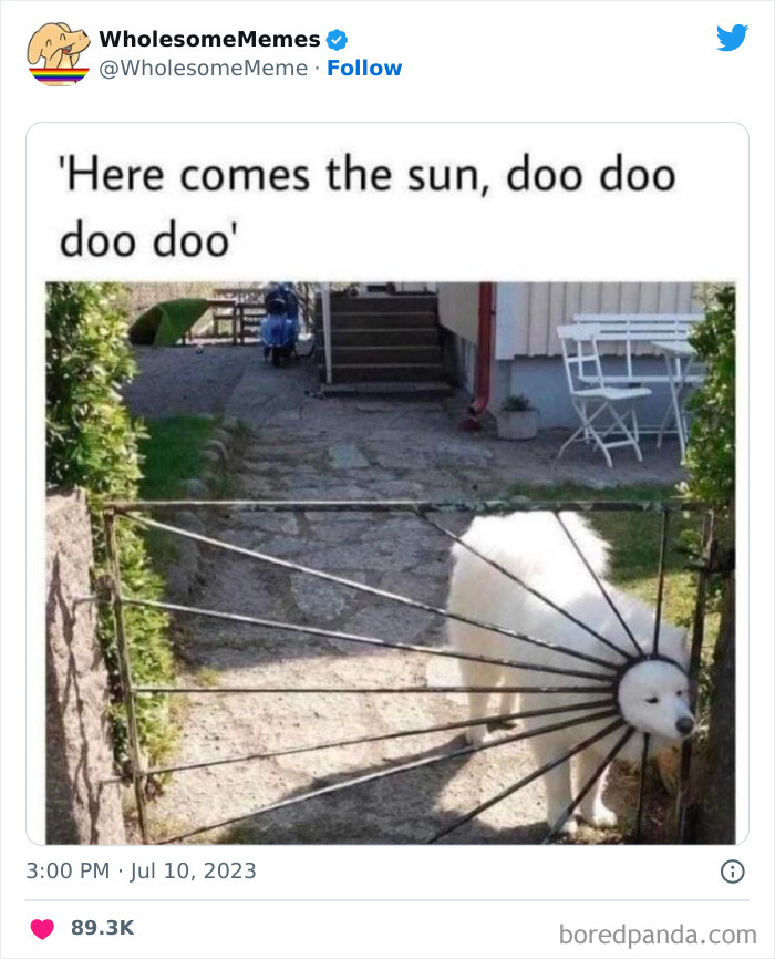 Adorable-Wholesome-Memes-Pics