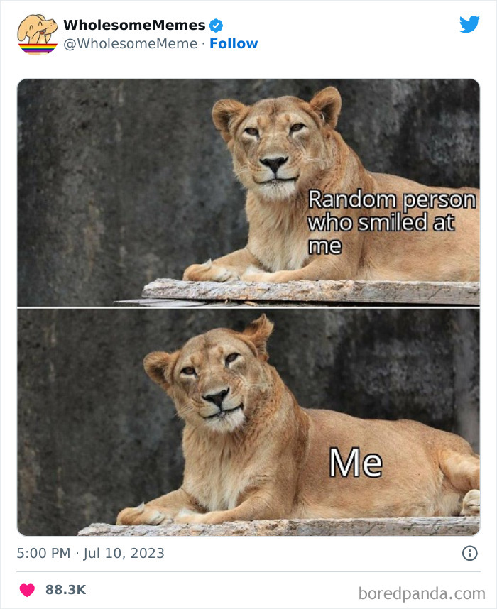 Adorable-Wholesome-Memes-Pics