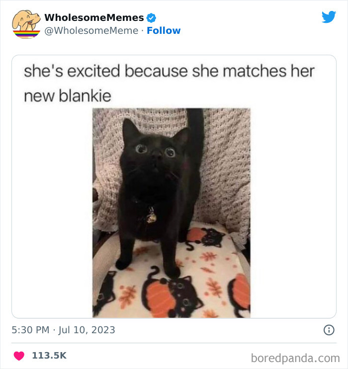 Adorable-Wholesome-Memes-Pics