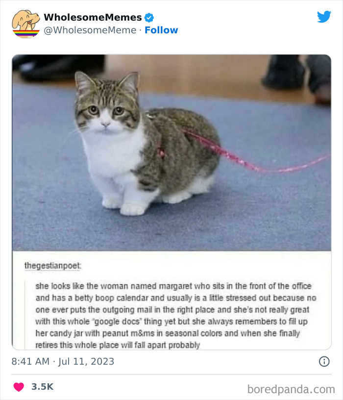 Adorable-Wholesome-Memes-Pics