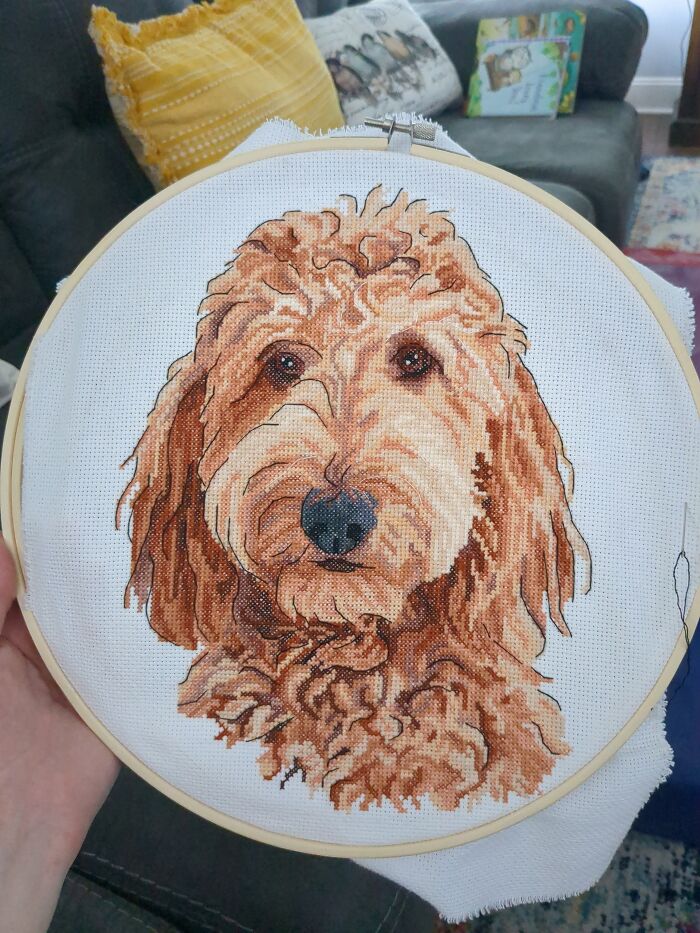 Goldendoodle Cross Stitch That I've Been Working On For A Friend Since March. Still Have Some Backstitching Left To Do Before I Have A Baby In 3 Weeks. Hopefully I Get It Done Before Then!