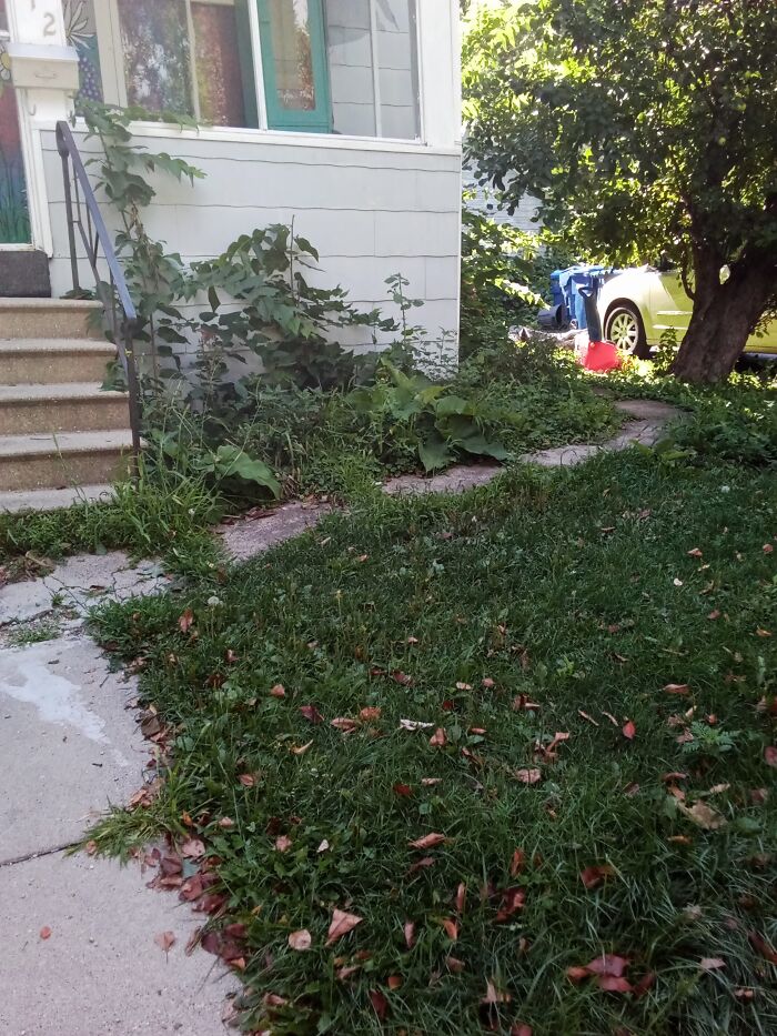 This Monstrous Mess!!!