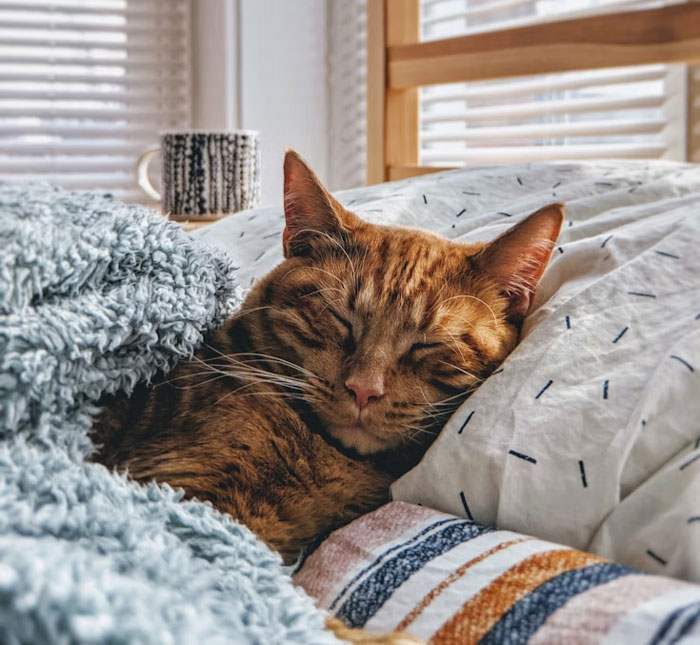 Buy Cheap, Buy Twice: 30 Things That Are Totally Worth The Money