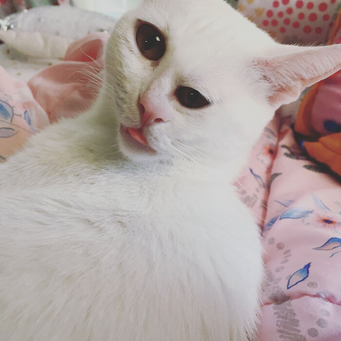 Split Second Movement When Taking The Picture 🤭