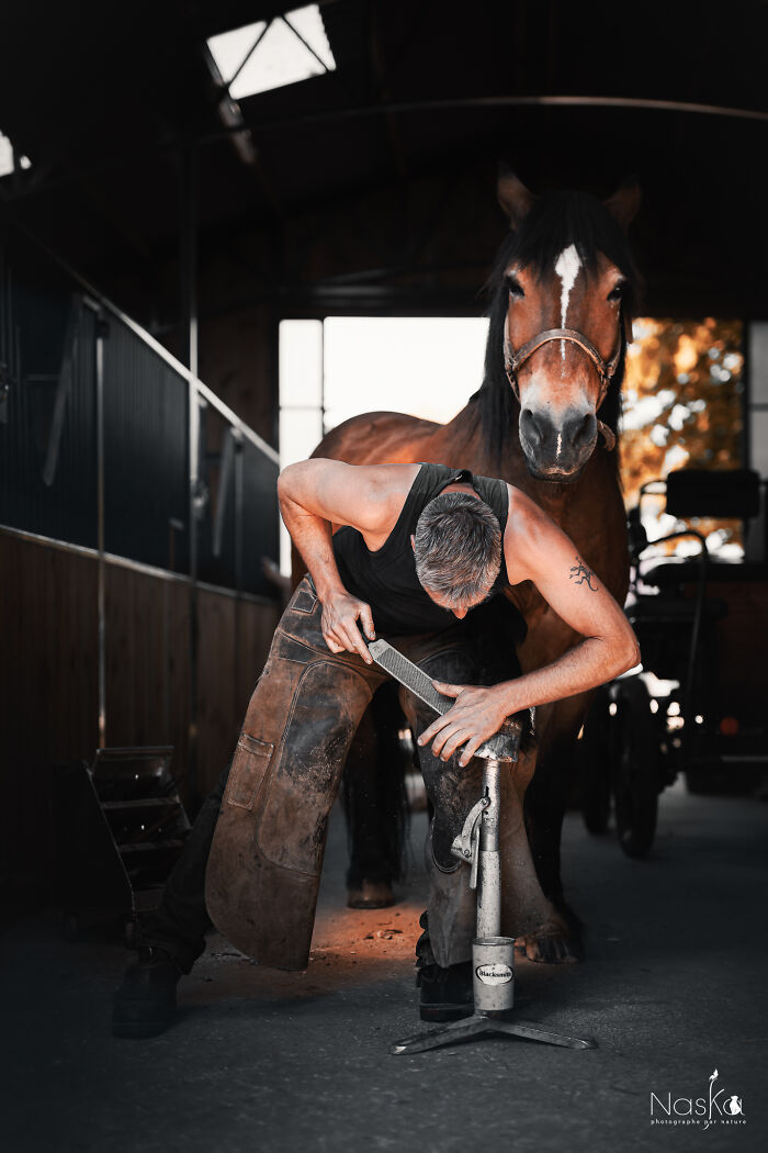 Light On The Job Of A Farrier (13 Pics)