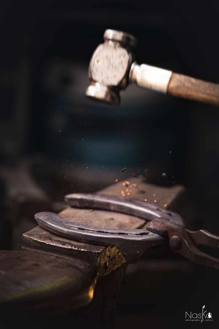 Light On The Job Of A Farrier (13 Pics)