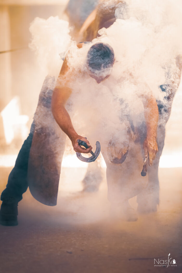 Light On The Job Of A Farrier (13 Pics)