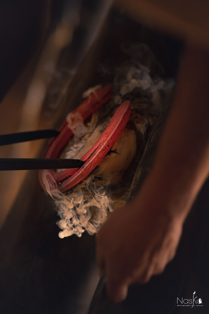 Light On The Job Of A Farrier (13 Pics)