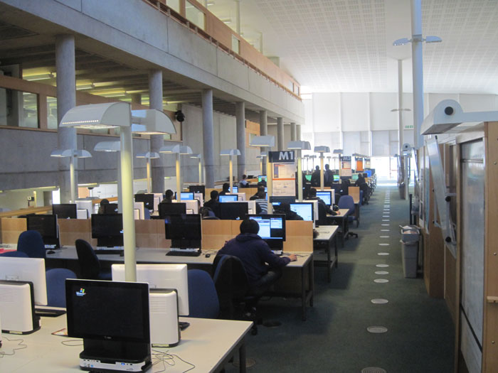 Person Started A Chain Of Resignations By Leaving And Felt Good Watching Their Company Crumble