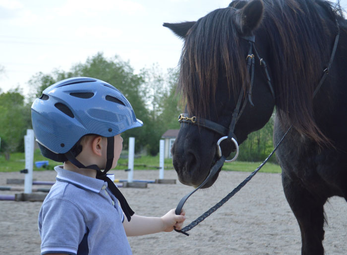Karen Mom With Big Entitlement Energy Begs Horse Owner To Let Her 11 Y.O. Ride A Dangerous Horse Karen Mom With Big Entitlement Energy Begs Horse Owner To Let Her 11 Y.O. Ride A Dangerous Horse