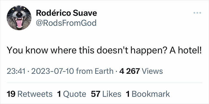 Airbnb Property Dragged After Professor Shares His Unexpected Finding