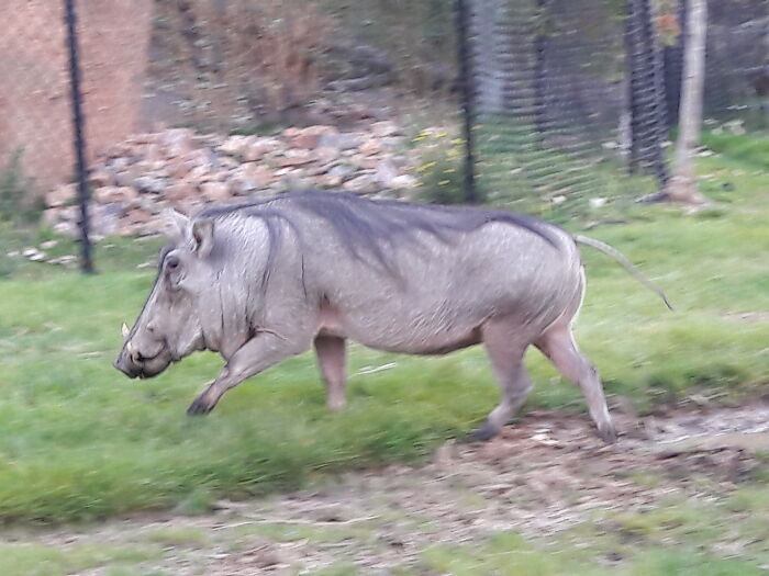 Taken When I Was Fourteen And Immediately Fell In Love