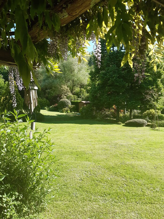 The Side With Lawn And Shrubs