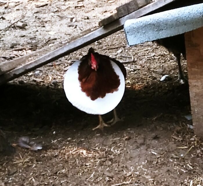 Look Mama I Made A Necklace ..... No Idea How She Got A Paper Plate