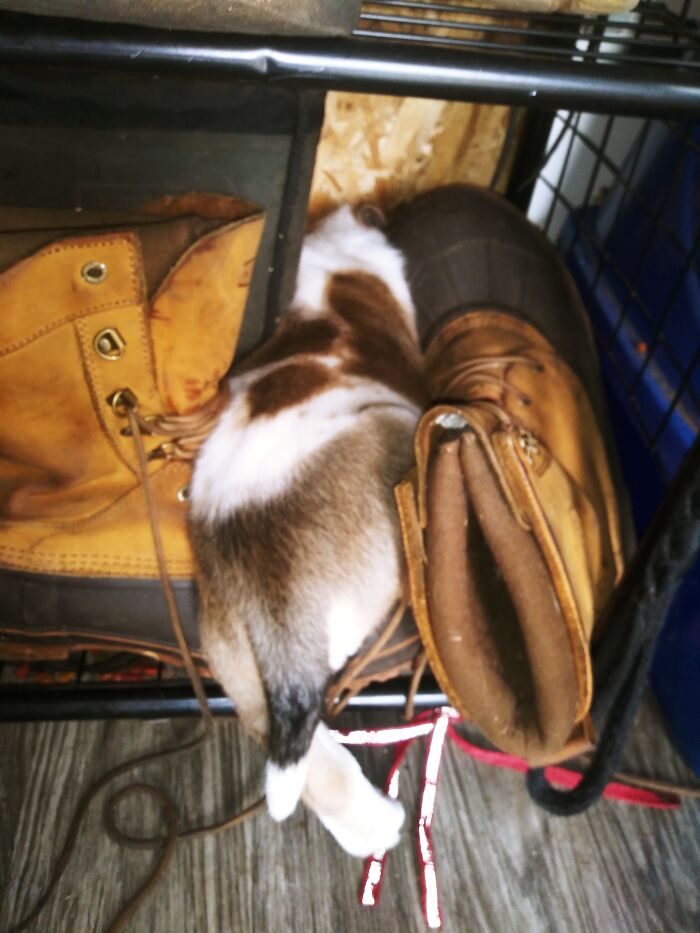 Took Me An Hour To Find Him .... I Was Freaking Out