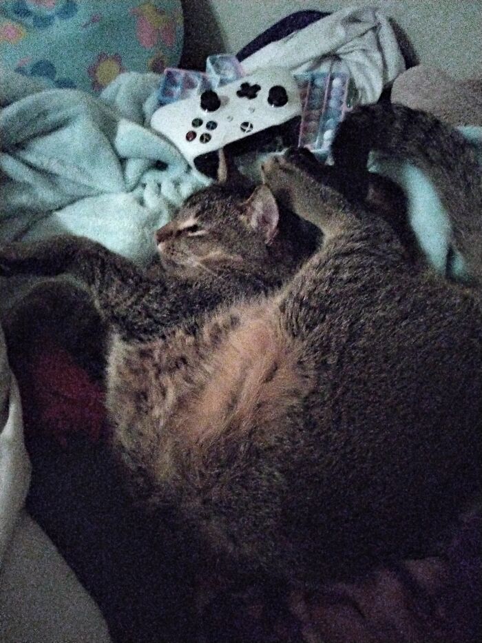 I Dont Even Think She Has A Spine Anymore