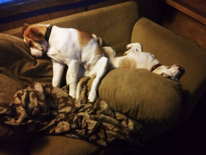 Have To Rearrange The Couch To Our Specifications And Comfort