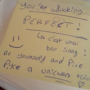 sofiyaaghouchy avatar