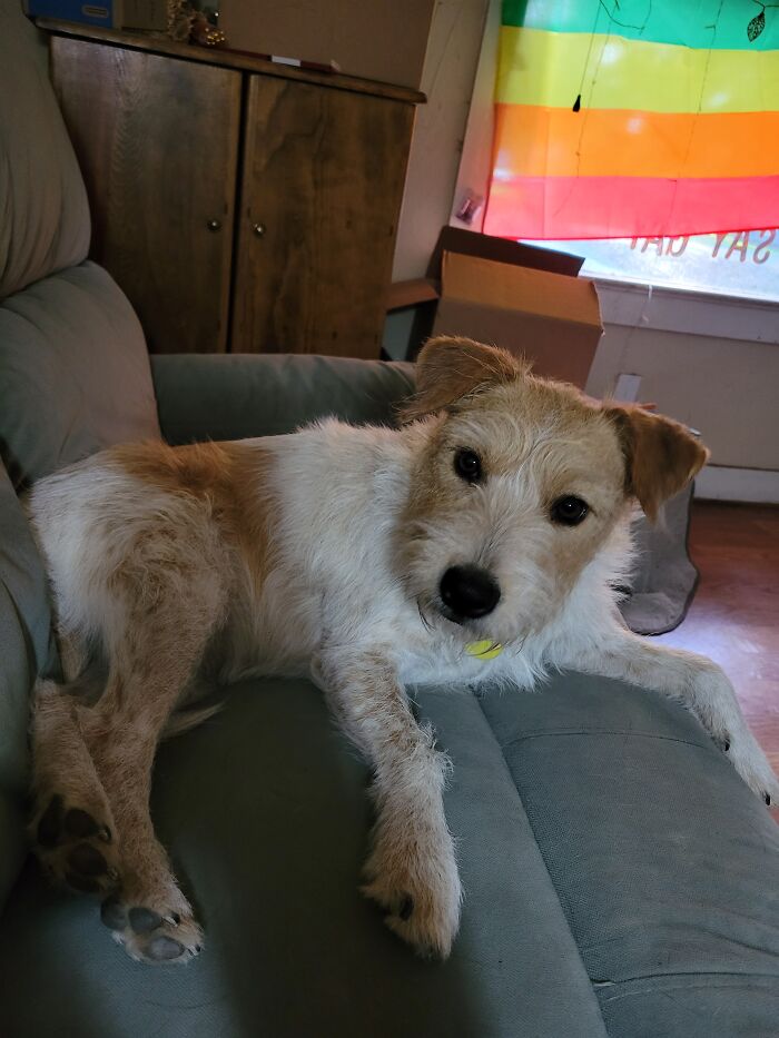 My Dog, Roux Mcclanahan